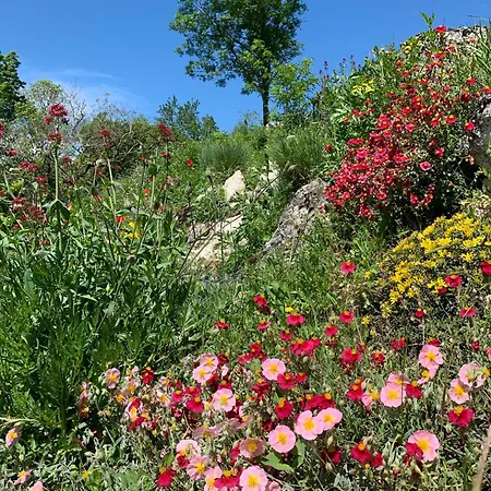 度假居 Au Calme A 15 Min D'albi, 7 Personnes *