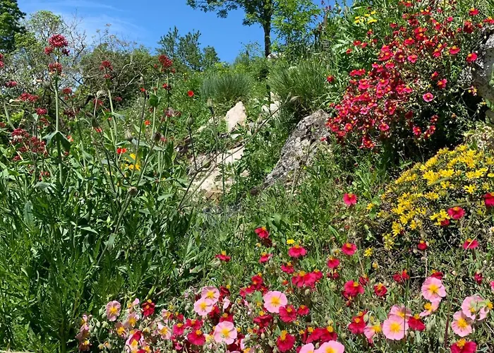Prázdninový dům Au Calme A 15 Min D'albi, 7 Personnes *